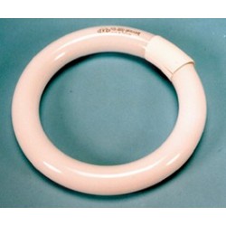 Tube fluo circline 22W 216mm